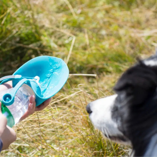 580Ml Sport Portable Pet Dog Water Bottle Silicone Travel Dog Bowl for Puppy Cat Drinking Outdoor Pet Water Dispenser